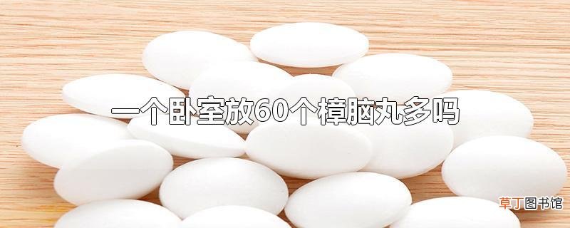 一个卧室放60个樟脑丸多吗