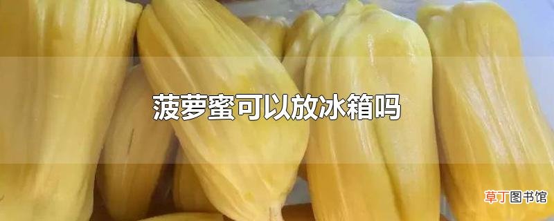 菠萝蜜可以放冰箱吗