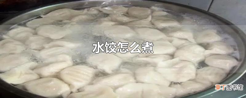水饺怎么煮