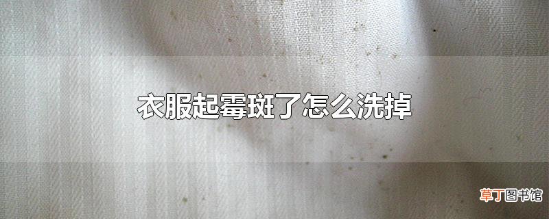 衣服起霉斑了怎么洗掉