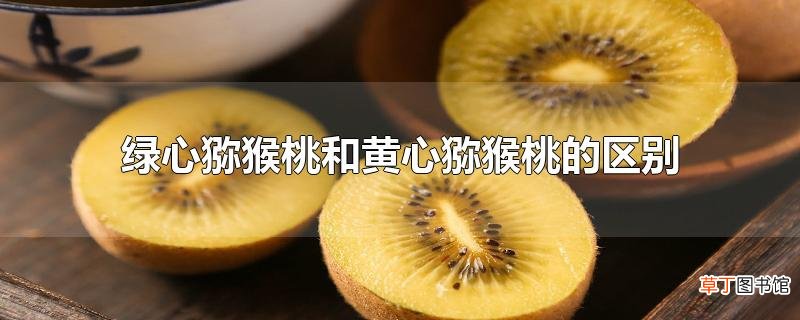 绿心猕猴桃和黄心猕猴桃的区别