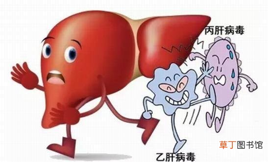 什么叫乙肝病毒携带者-乙肝病毒携带者是什么意思
