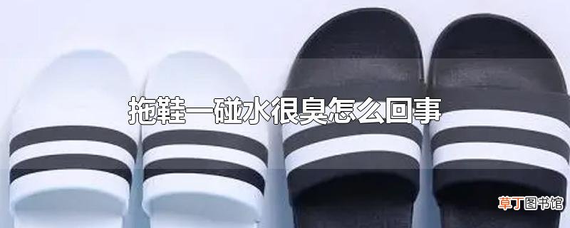 拖鞋一碰水很臭怎么回事