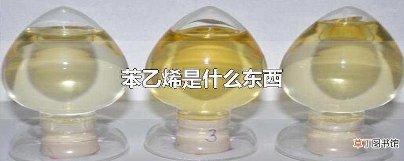 苯乙烯是什么东西