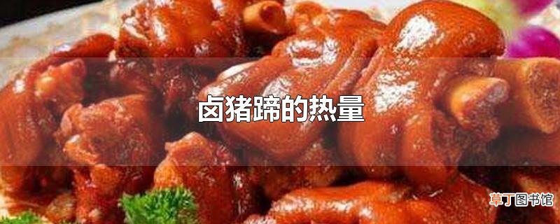 卤猪蹄的热量