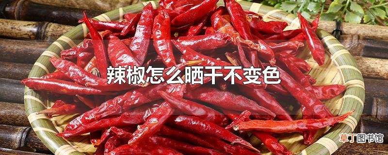 辣椒怎么晒干不变色