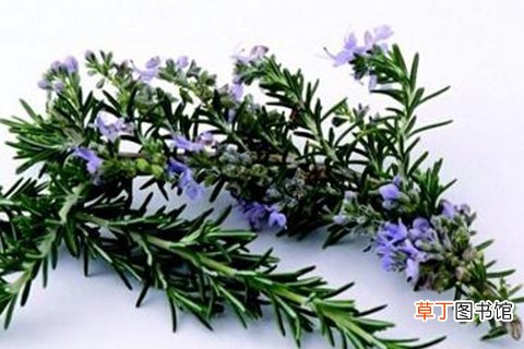 结婚35周年送老婆什么好 结婚35年是什么婚