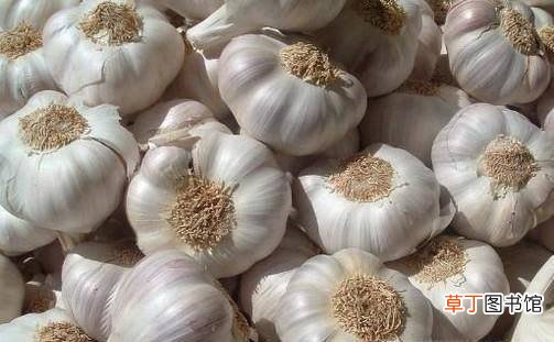 甜味 自制腌大蒜头