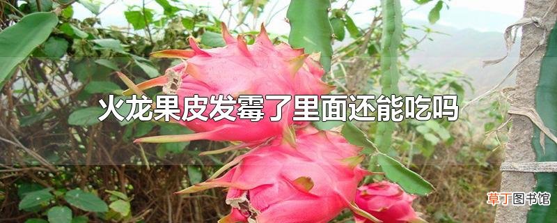 火龙果皮发霉了里面还能吃吗