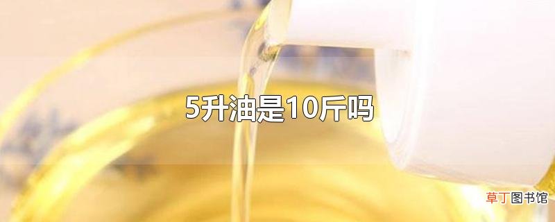 5升油是10斤吗