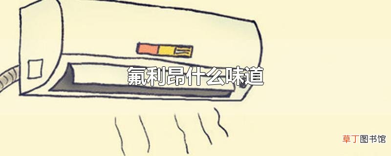 氟利昂什么味道