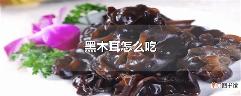 黑木耳怎么吃