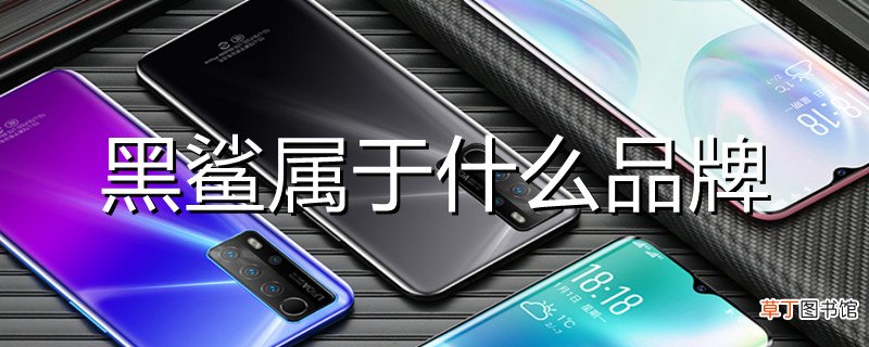 黑鲨属于什么品牌