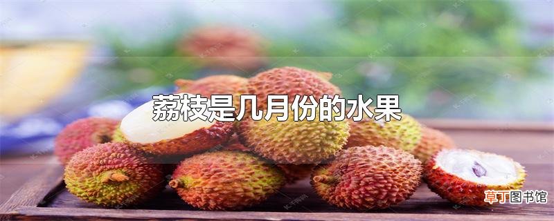 荔枝是几月份的水果