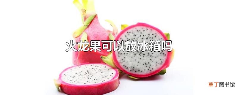 火龙果可以放冰箱吗