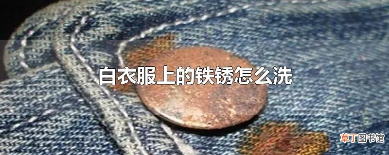 白衣服上的铁锈怎么洗