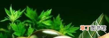 端午节要吃什么？传统饮食有哪些？