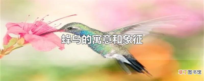 蜂鸟的寓意和象征