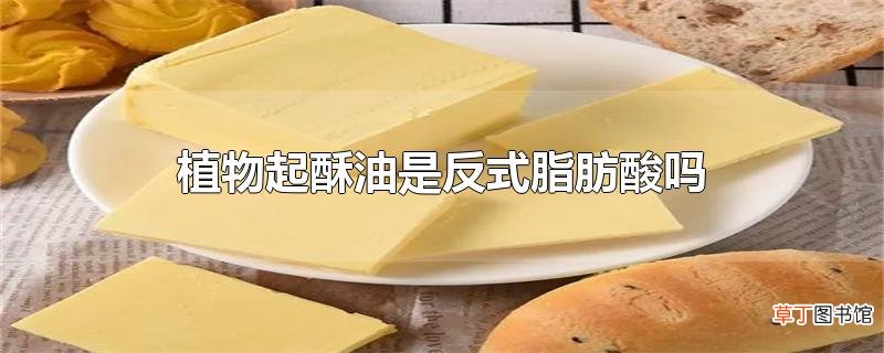植物起酥油是反式脂肪酸吗