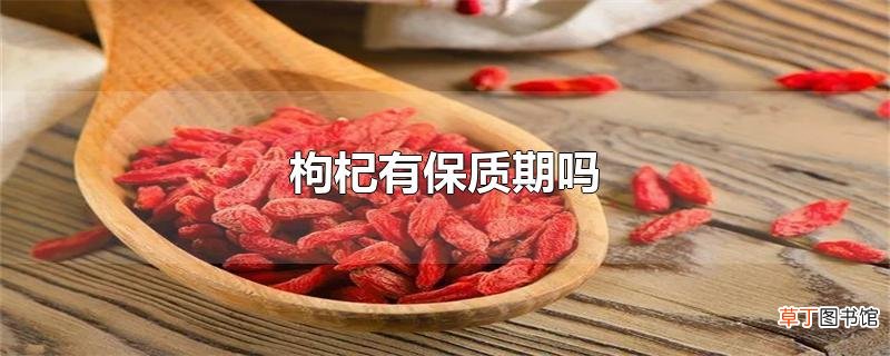 枸杞有保质期吗