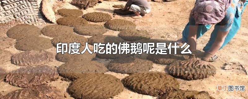 印度人吃的佛鹅呢是什么