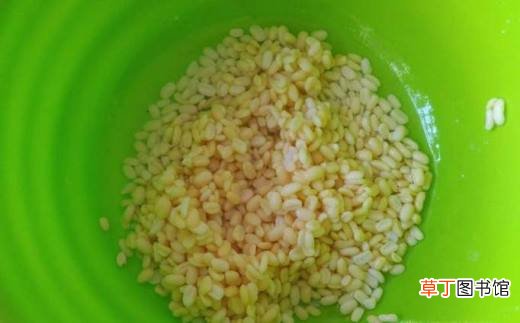 冰爽绿豆沙的做法