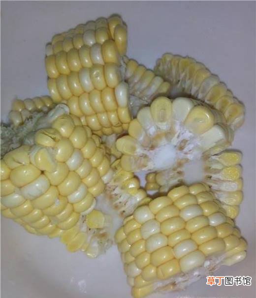 美味排骨汤的具体做法