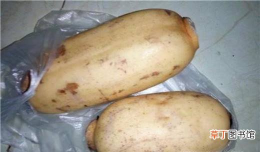 美味排骨汤的具体做法
