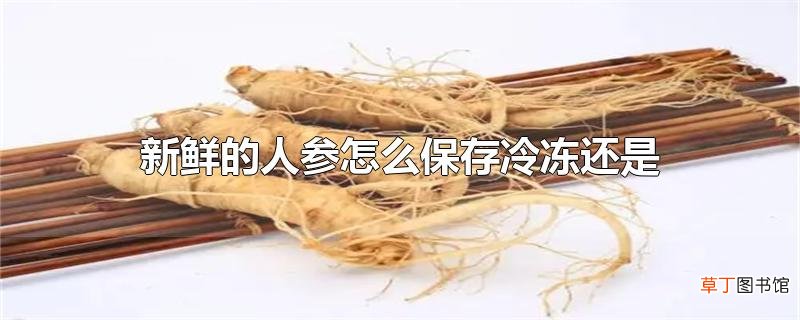 新鲜的人参怎么保存冷冻还是冷藏