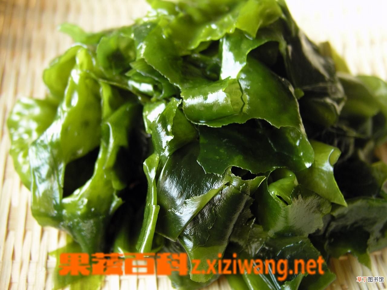 裙带菜如何清洗干净