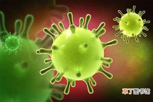 新型冠状病毒肺炎早期的症状是什么-新型冠状病毒肺炎早期有哪些症状