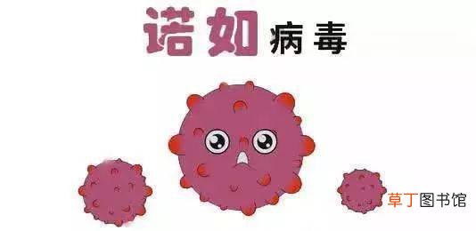 什么是诺如病毒-诺如病毒是什么病