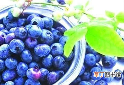 花青素的功效与作用-花青素有什么用