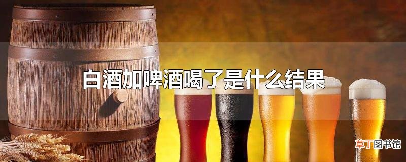 白酒加啤酒喝了是什么结果
