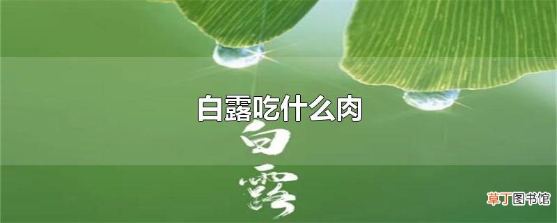 白露吃什么肉