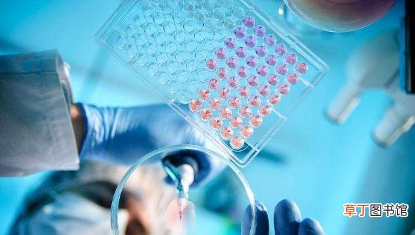 vc可以抗病毒吗 vc对新型冠状病毒有用吗