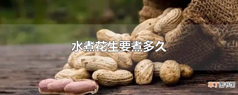 水煮花生要煮多久