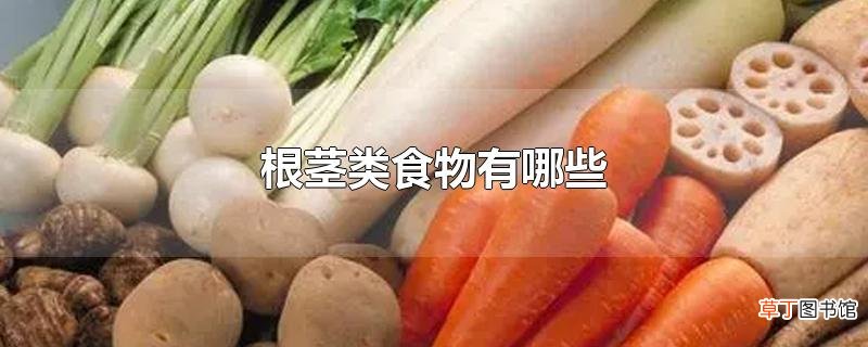 根茎类食物有哪些