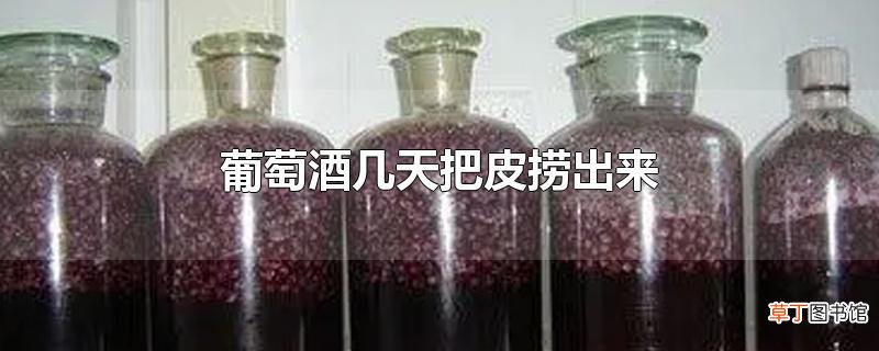葡萄酒几天把皮捞出来