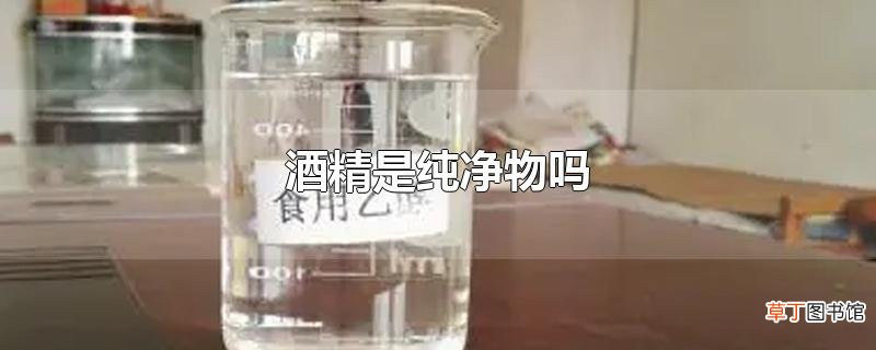 酒精是纯净物吗