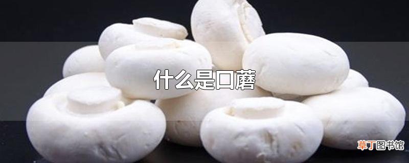什么是口蘑