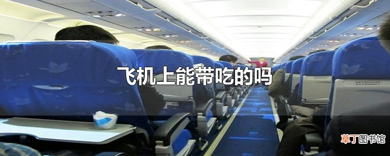 飞机上能带吃的吗