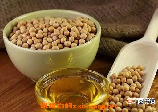 豆油的营养价值与功效