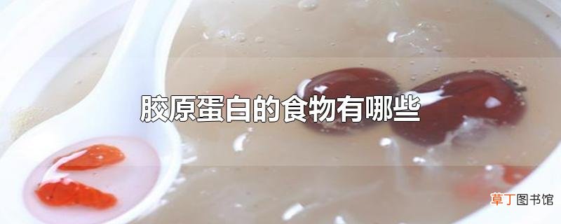 胶原蛋白的食物有哪些