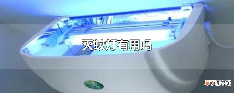 灭蚊灯有用吗