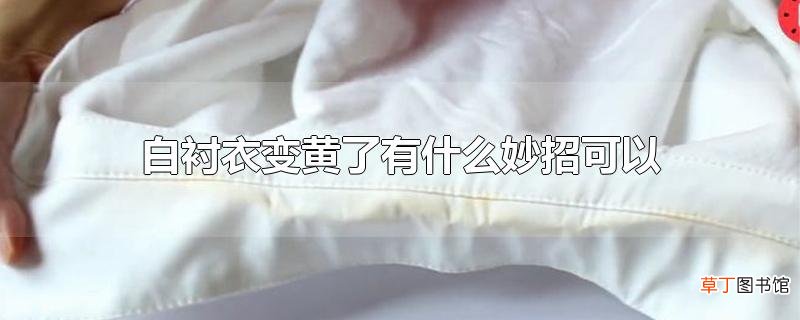 白衬衣变黄了有什么妙招可以变白
