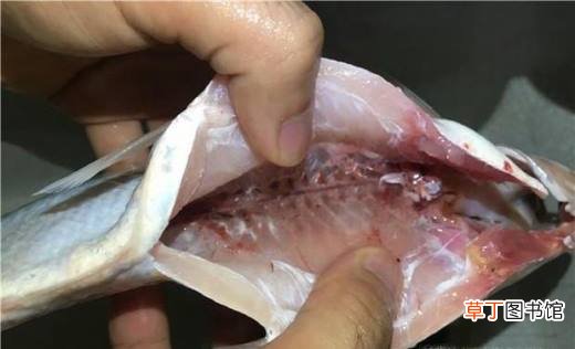家常鱼汤怎么做好喝呢？