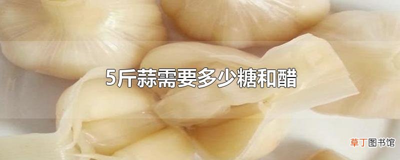 5斤蒜需要多少糖和醋