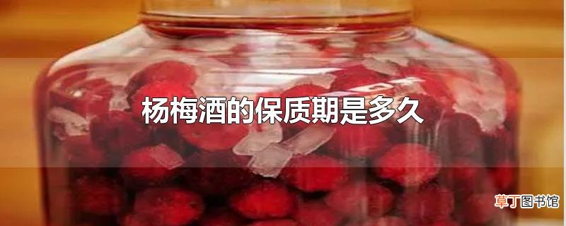 杨梅酒的保质期是多久