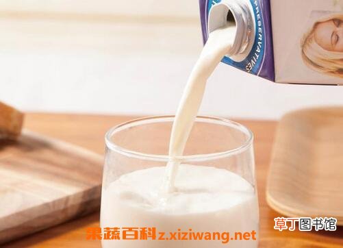 牛奶的营养价值与功效 常喝牛奶的好处